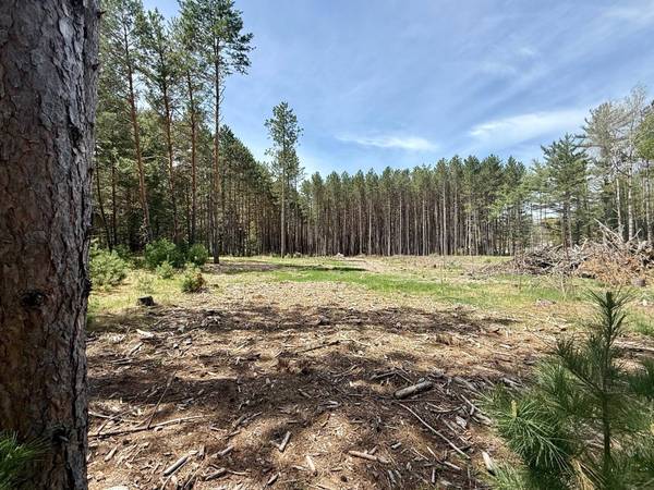 4342 PINE BREEZE WAY, Eagle River, WI 54521