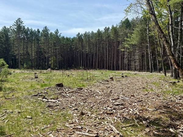 4342 PINE BREEZE WAY, Eagle River, WI 54521