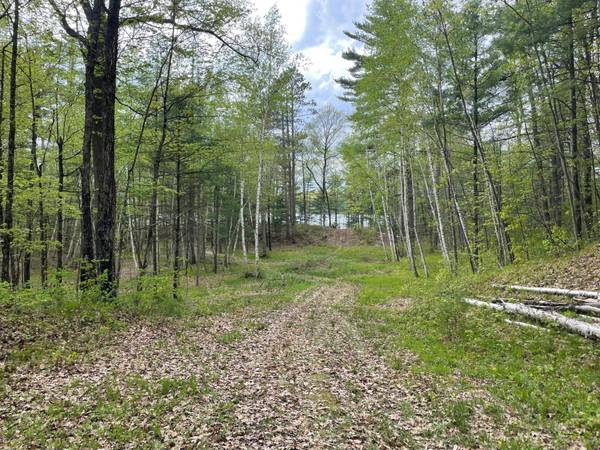 Lot 3 MITTEN LAKE RD, Lac Du Flambeau, WI 54538