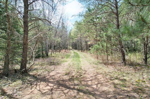 Off CTH G, St Germain, WI 54558