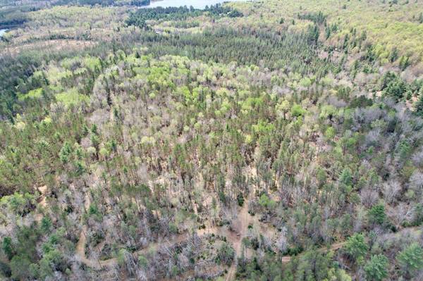 Off CTH G, St Germain, WI 54558