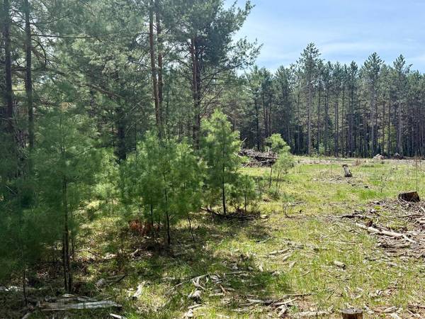 4342 PINE BREEZE WAY, Eagle River, WI 54521