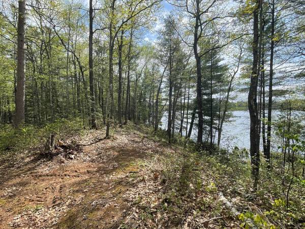 Lot 3 MITTEN LAKE RD, Lac Du Flambeau, WI 54538