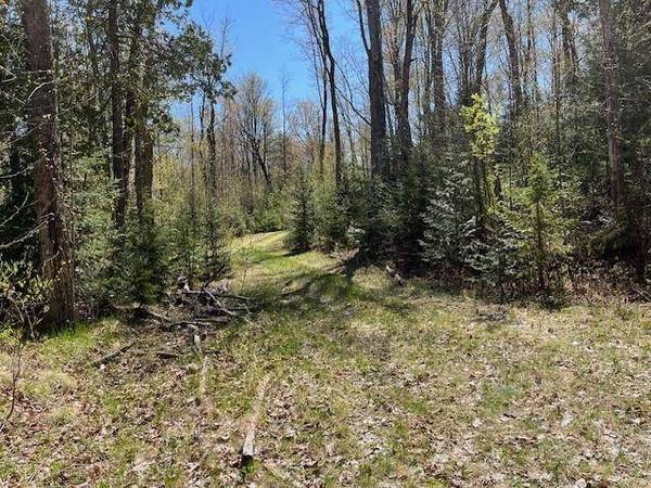 Off HWY 45, Watersmeet, MI 49969