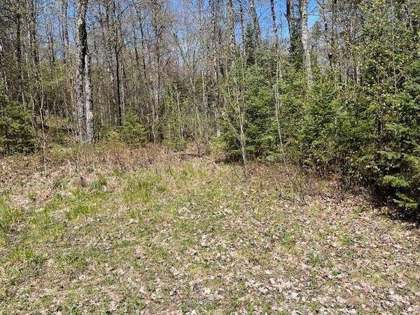 Off HWY 45, Watersmeet, MI 49969