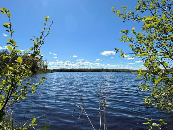 TBD LANGFORD LAKE RD, Watersmeet, MI 49969