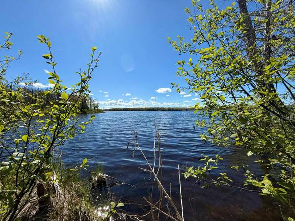 TBD LANGFORD LAKE RD, Watersmeet, MI 49969