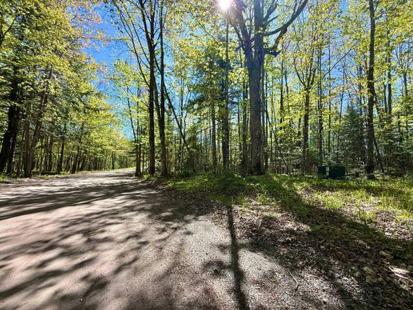 TBD LANGFORD LAKE RD, Watersmeet, MI 49969