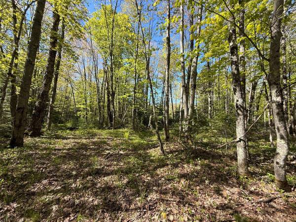 TBD LANGFORD LAKE RD, Watersmeet, MI 49969