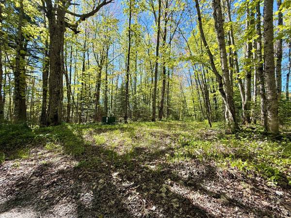 TBD LANGFORD LAKE RD, Watersmeet, MI 49969