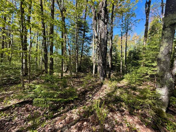 TBD LANGFORD LAKE RD, Watersmeet, MI 49969
