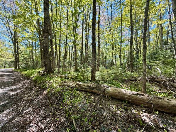 TBD LANGFORD LAKE RD, Watersmeet, MI 49969