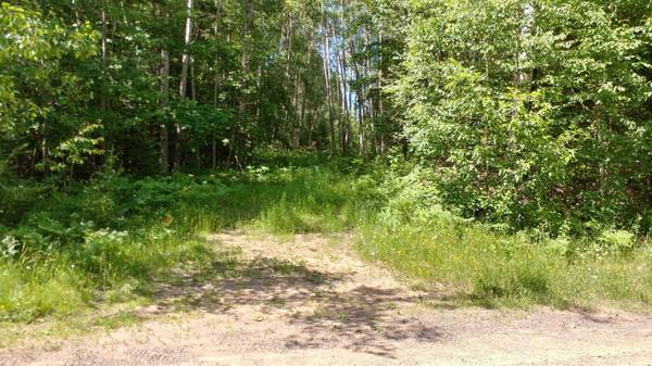 ON JOHNSON LAKE RD, Haight Township, MI 49912