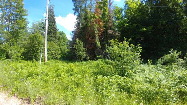 ON JOHNSON LAKE RD, Haight Township, MI 49912