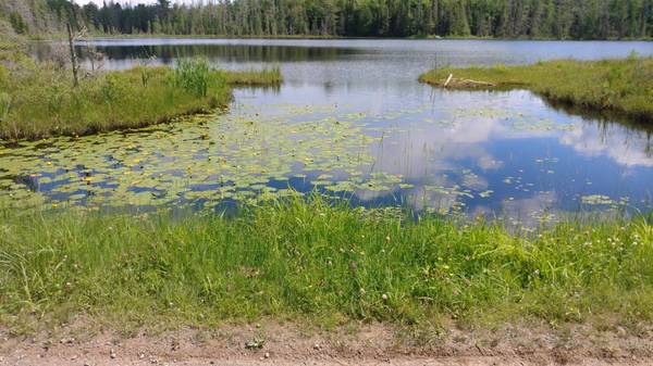 ON JOHNSON LAKE RD, Haight Township, MI 49912