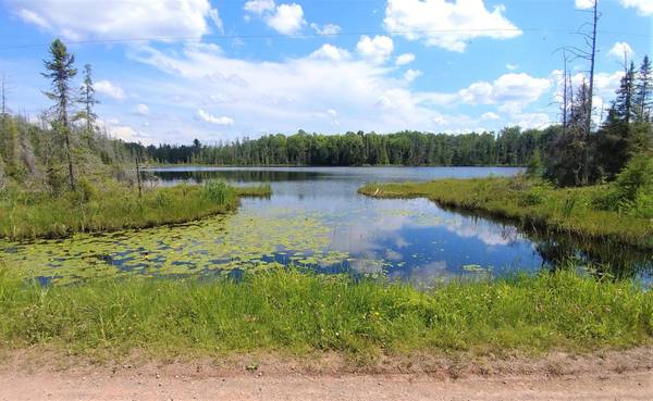 ON JOHNSON LAKE RD, Haight Township, MI 49912