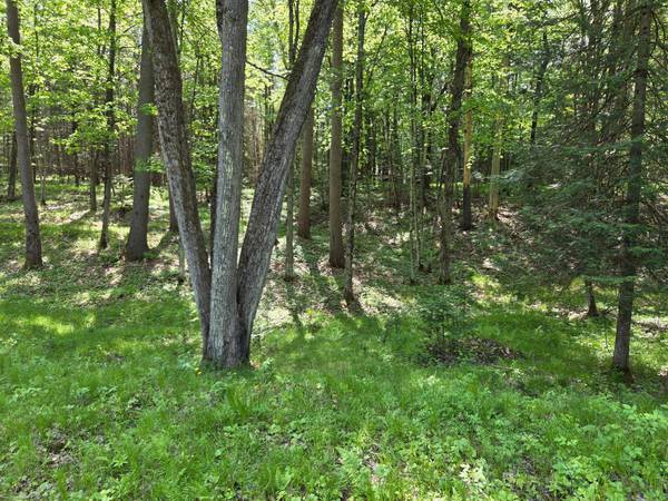 3827 HARSHAW RD, Harshaw, WI 54529