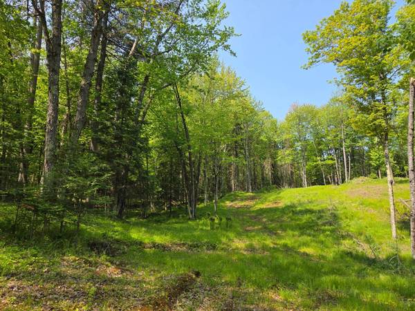 3827 HARSHAW RD, Harshaw, WI 54529