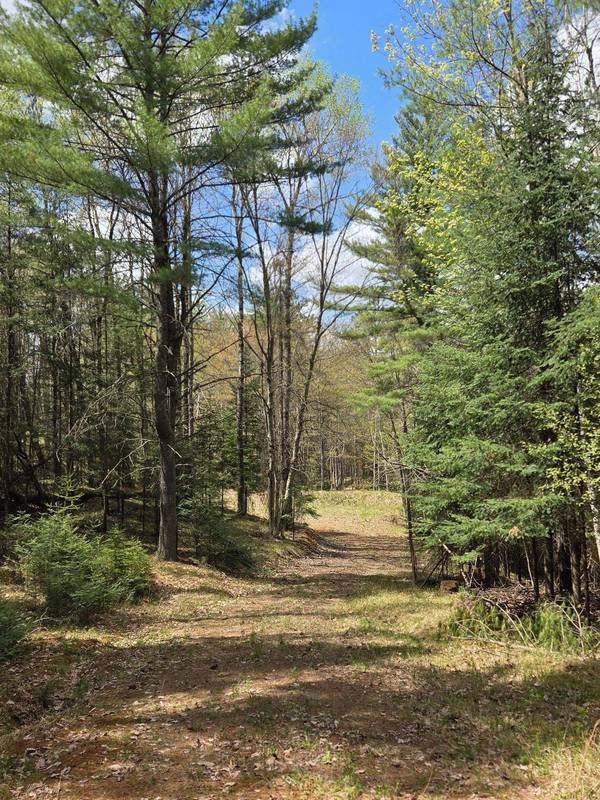 3827 HARSHAW RD, Harshaw, WI 54529