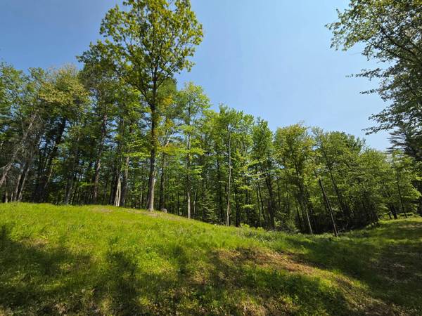 3827 HARSHAW RD, Harshaw, WI 54529