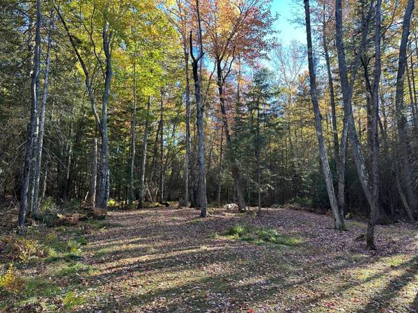 5410 HWY 70, Eagle River, WI 54521