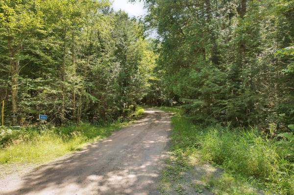 ON DUCK LAKE RD W, Watersmeet, MI 49969