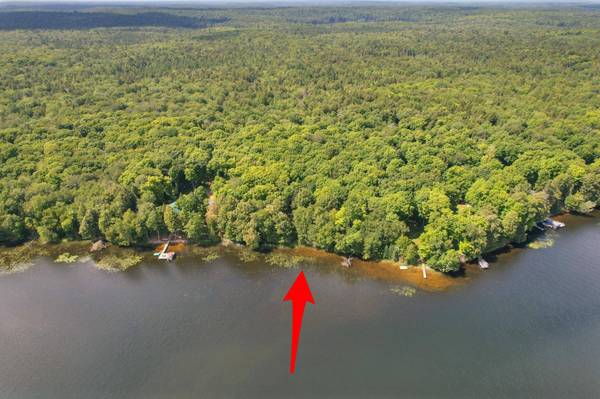 ON DUCK LAKE RD W, Watersmeet, MI 49969