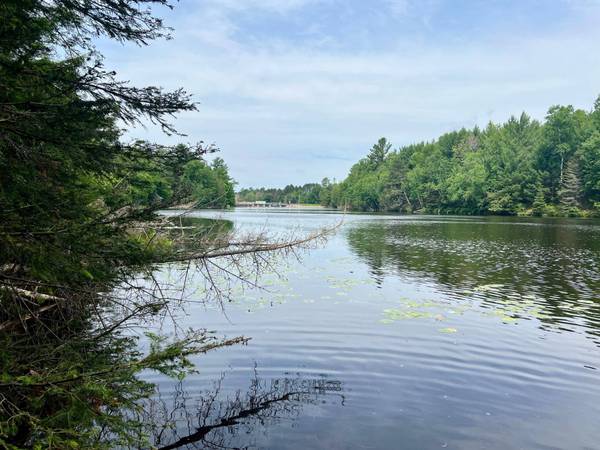 100' Ftg CLOVERLAND DR, Eagle River, WI 54521