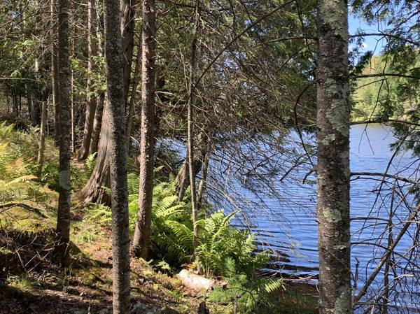 100' Ftg CLOVERLAND DR, Eagle River, WI 54521