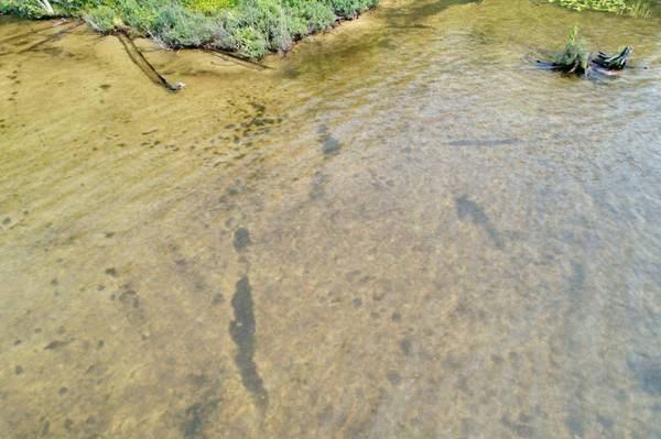 ON BIRCH POINT RD, Conover, WI 54519