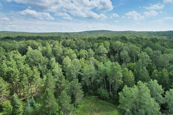 8002 HOLLY LN, Alvin, WI 54542