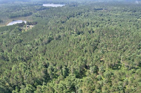 20 ac SPIRIT WOOD TR, Land O Lakes, WI 54540