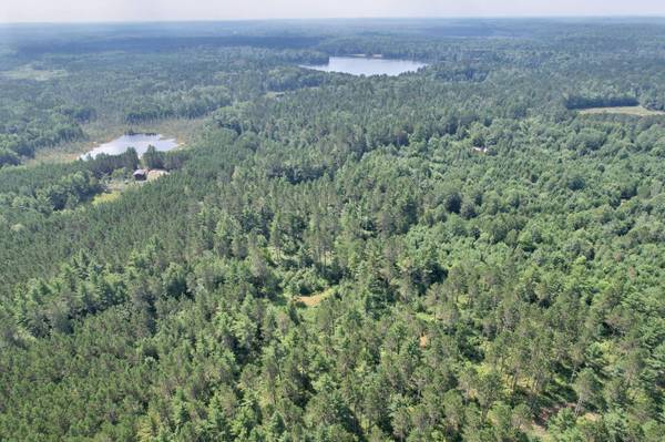 20 ac SPIRIT WOOD TR, Land O Lakes, WI 54540