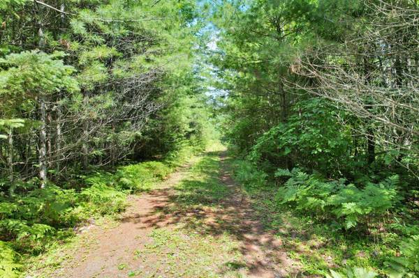 20 ac SPIRIT WOOD TR, Land O Lakes, WI 54540