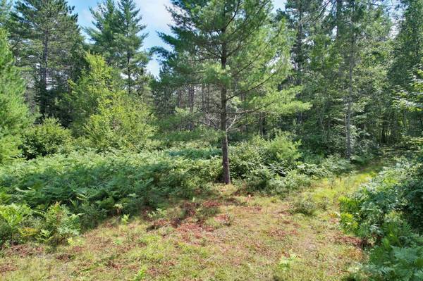 20 ac SPIRIT WOOD TR, Land O Lakes, WI 54540