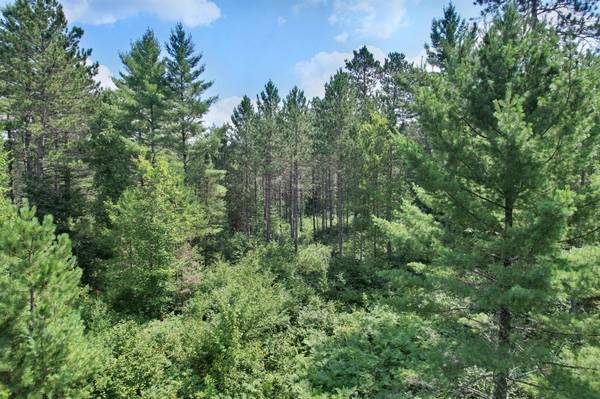 20 ac SPIRIT WOOD TR, Land O Lakes, WI 54540