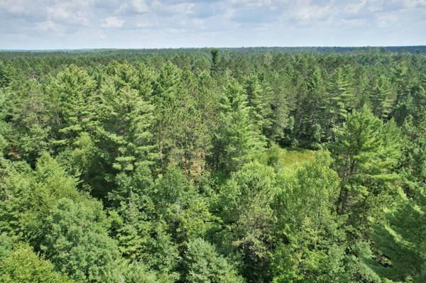 20 ac SPIRIT WOOD TR, Land O Lakes, WI 54540