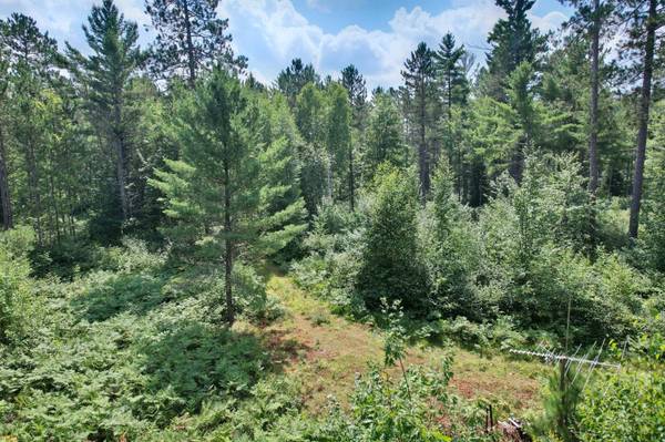 20 ac SPIRIT WOOD TR, Land O Lakes, WI 54540