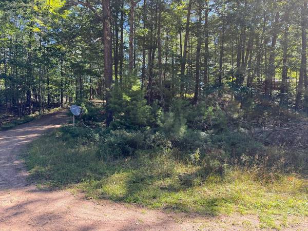 4267 RED PINE DR, Eagle River, WI 54521