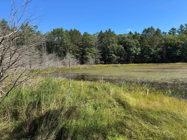 4267 RED PINE DR, Eagle River, WI 54521