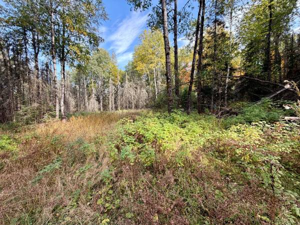 9403 CTH A, Alvin, WI 54542