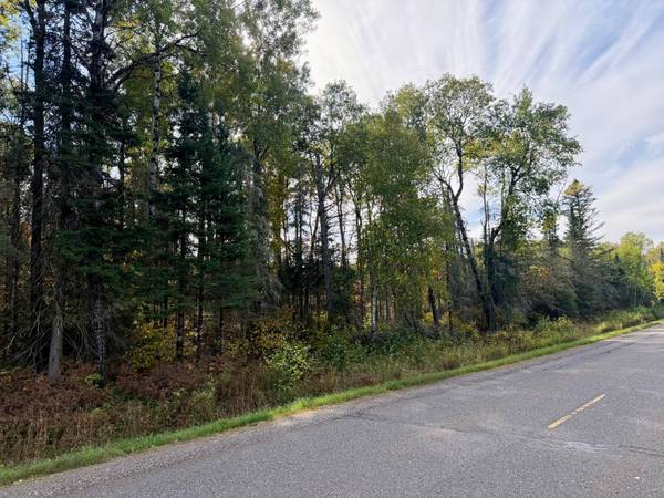 9403 CTH A, Alvin, WI 54542