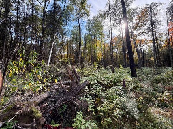 9403 CTH A, Alvin, WI 54542