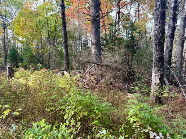 9403 CTH A, Alvin, WI 54542