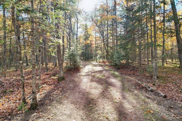 5695 ANTON TRL, Phelps, WI 54554