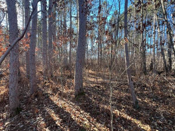 ON HEART LAKE RD, Land O Lakes, WI 54540