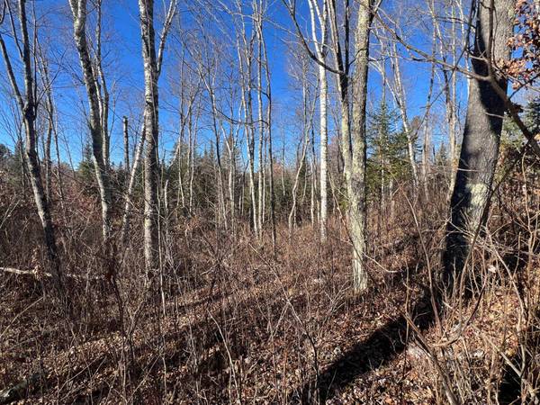 ON HEART LAKE RD, Land O Lakes, WI 54540