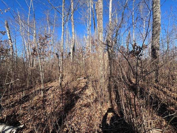 ON HEART LAKE RD, Land O Lakes, WI 54540