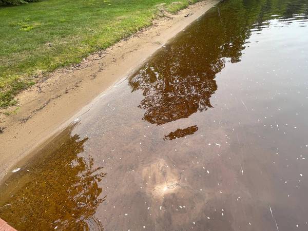 6375 BIG LAKE LOOP RD E, Three Lakes, WI 54562