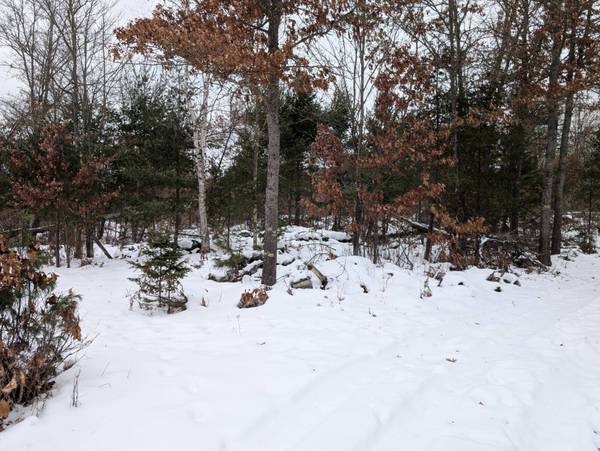 2681 BULLSEYE LN, Eagle River, WI 54521